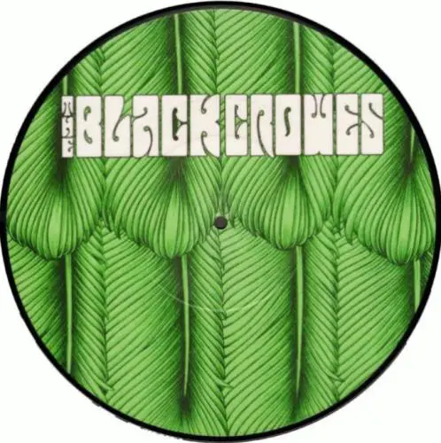 The Black Crowes : Say Goodnight to the Bad Guys